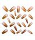 NA096 - Brown Gradient Ballet Nails